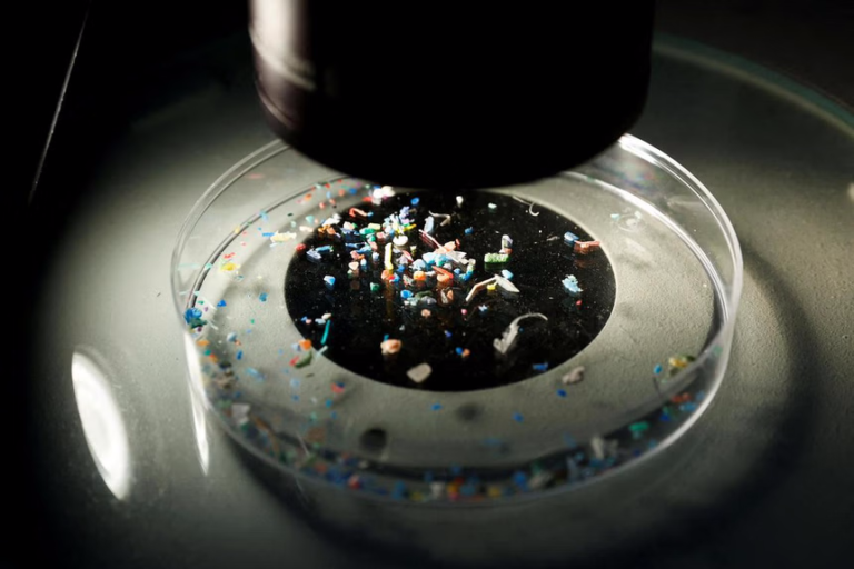 Microplastics in Textiles: The Hidden Pollution of Synthetic Materials