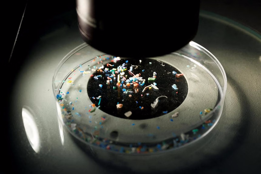 Microplastics collected from the sea, under a marine scientist's microscope. PHOTO: REUTERS